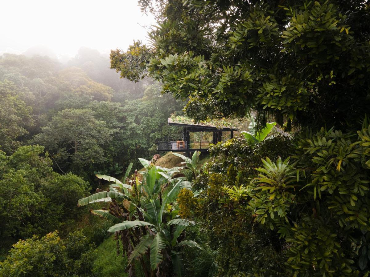 Bio Habitat Hotel Luna Park Luaran gambar